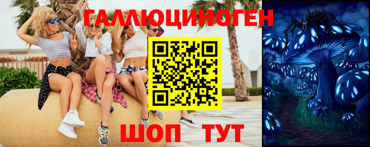 Псилоцибиновые грибы Psilocybe Саянск