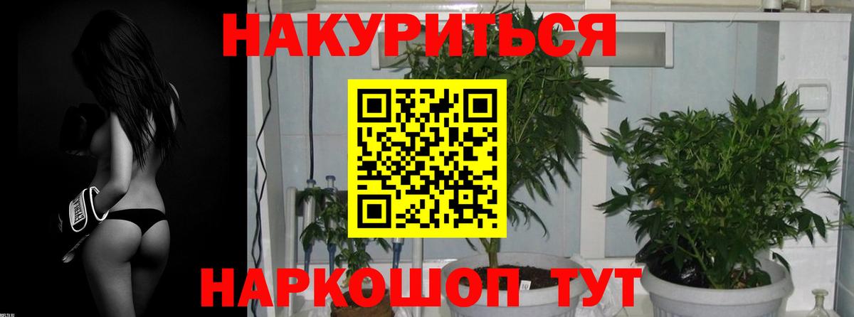 Шишки марихуана VHQ Саянск